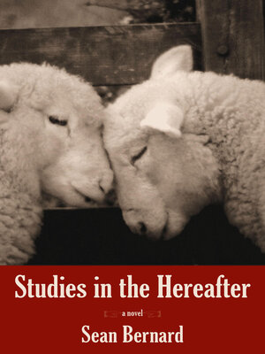 cover image of Studies in the Hereafter
